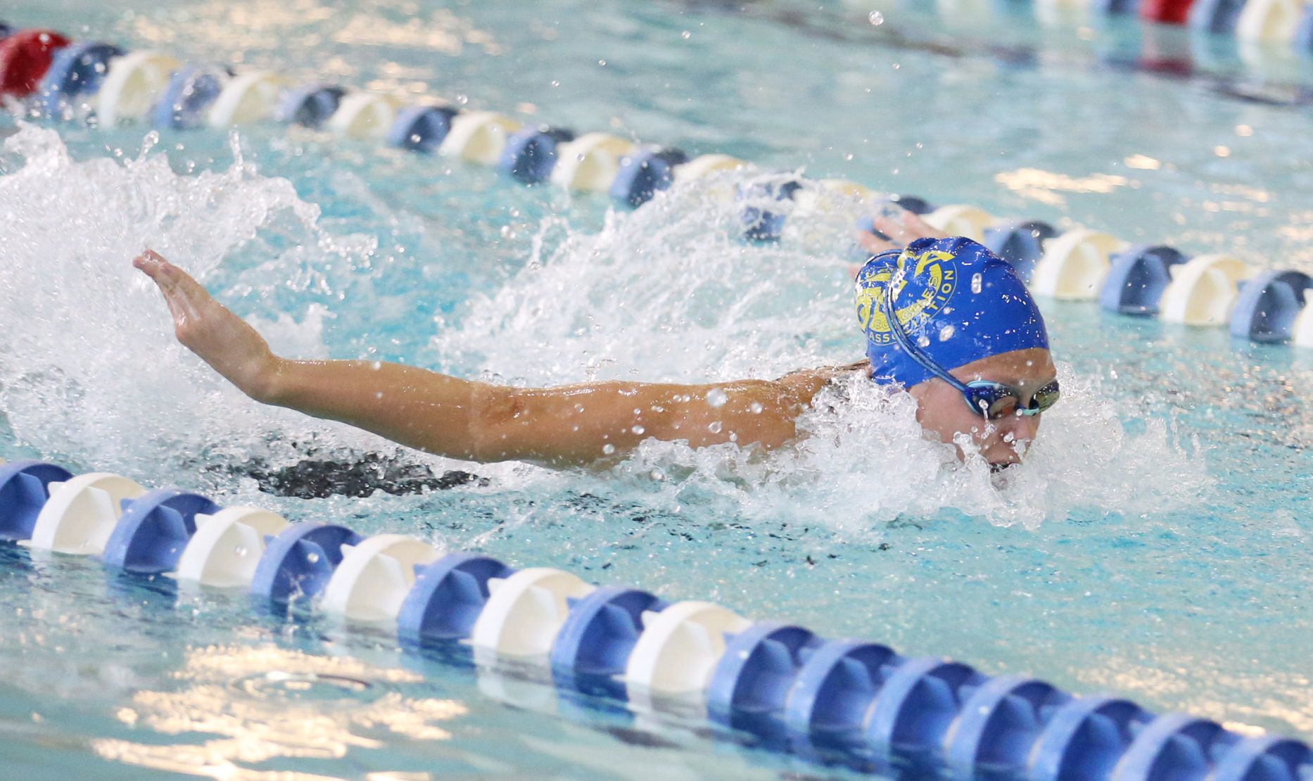 swim (copy)